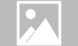 葛麻豆,探寻古老植物的神奇魅力与养生奥秘