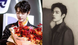 我是黑粉我吃娱乐圈的瓜,我是黑粉，却意外吃尽明星瓜果